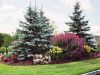 Landscape Architecture 14