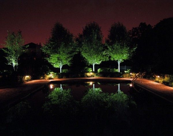 Landscape Lighting 4