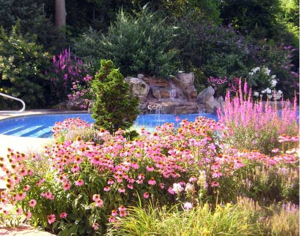 Landscape Architecture 7