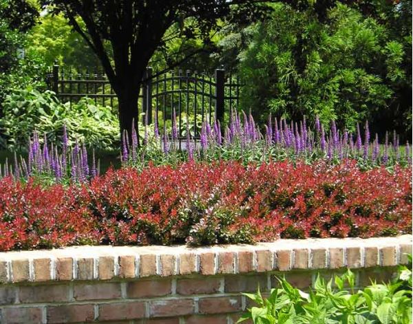 Landscape Architecture 9