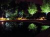 Landscape Lighting 5