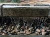 Water Features 2