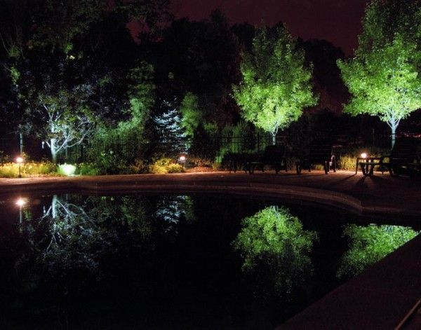 Landscape Lighting 5