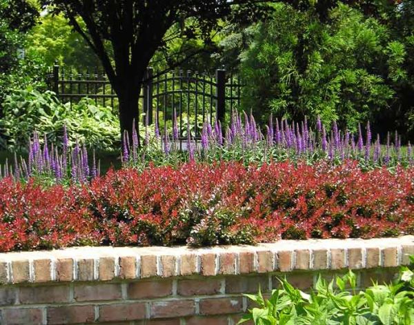 Landscape Architecture 9