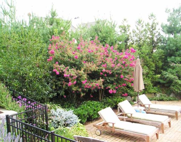 Landscape Architecture 8