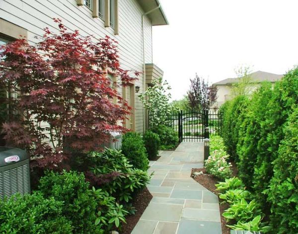 Landscape Architecture 25